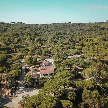 Camping Ladouceur Ramatuelle Eksteriør billede