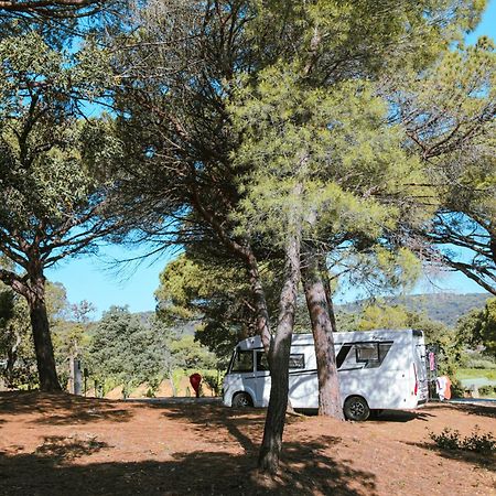 Camping Ladouceur Ramatuelle Eksteriør billede