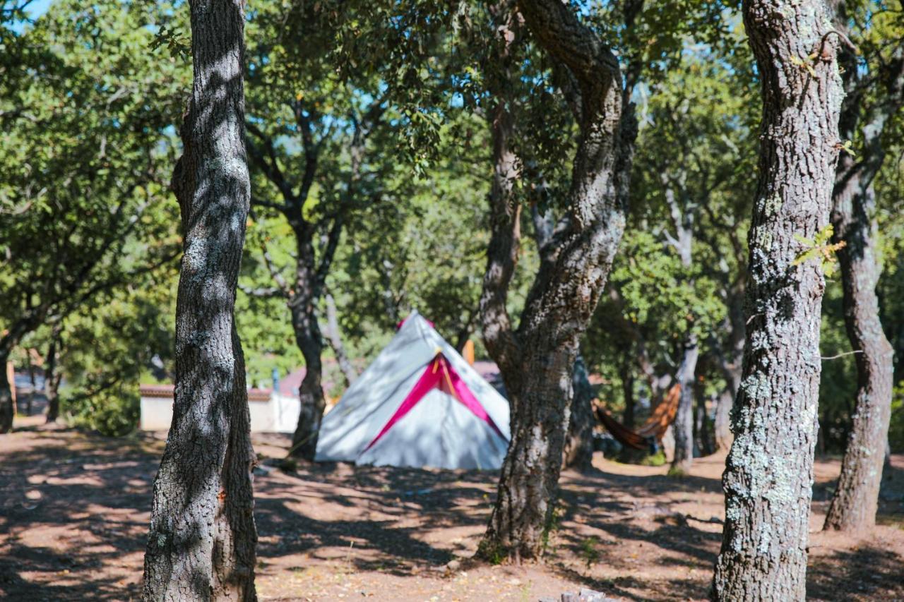 Camping Ladouceur Ramatuelle Eksteriør billede