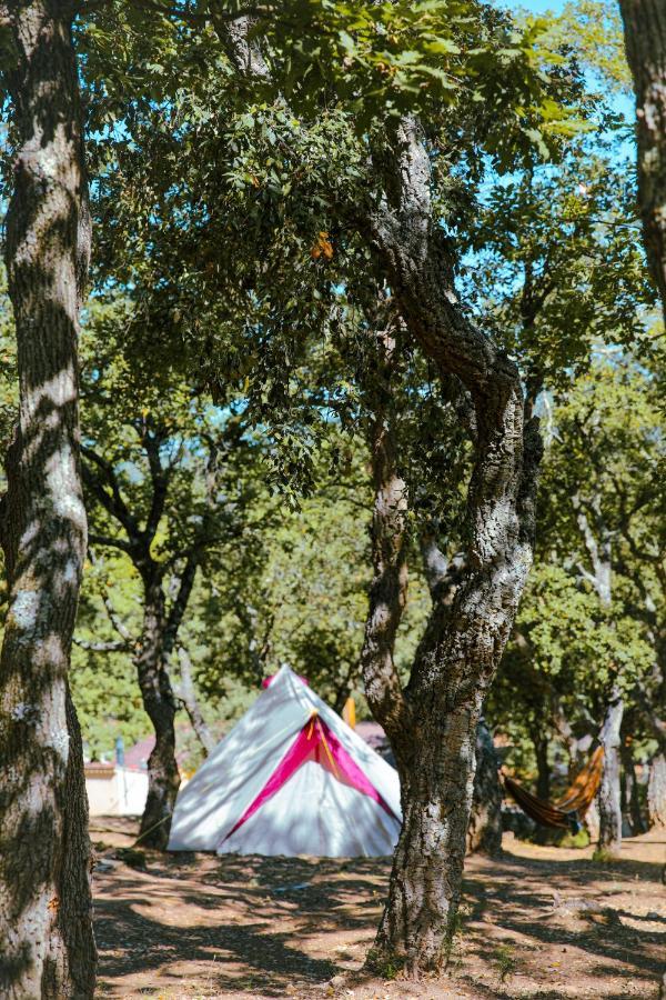 Camping Ladouceur Ramatuelle Eksteriør billede