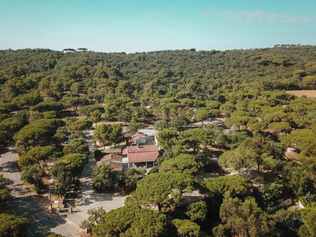 Camping Ladouceur Ramatuelle Eksteriør billede
